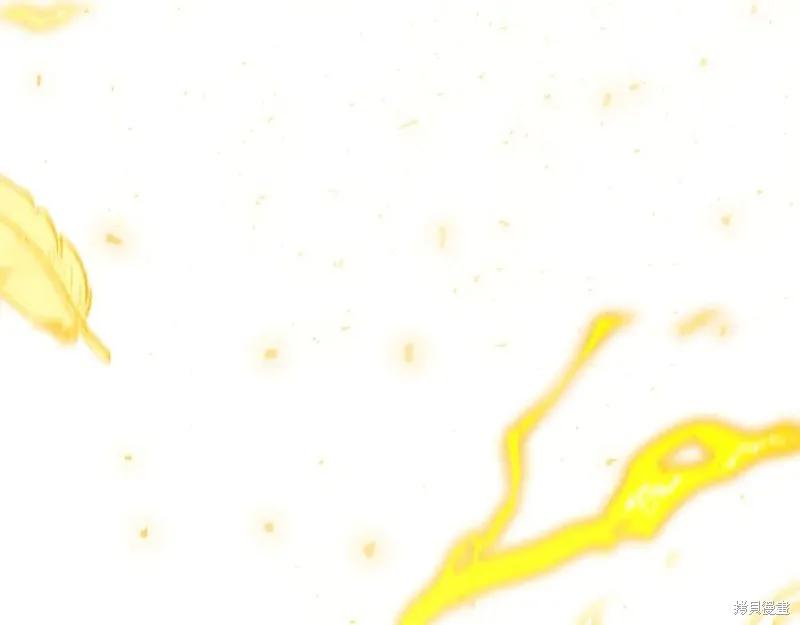 第238页