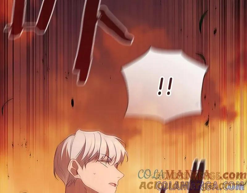 第213页