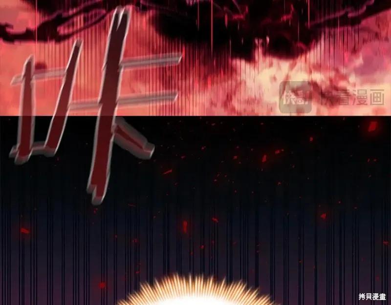 第223页