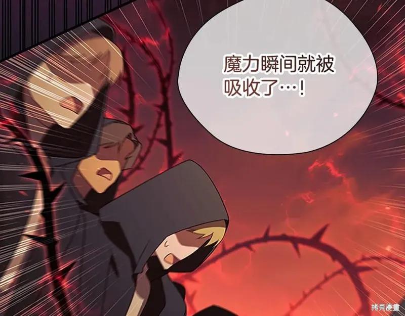 第228页