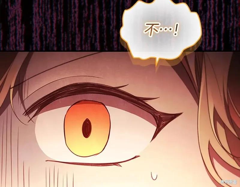 第234页
