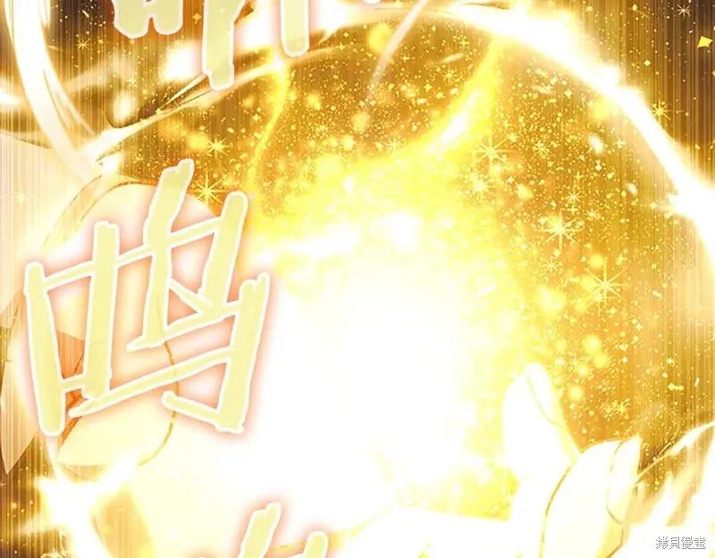 第236页