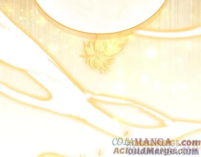 第245页