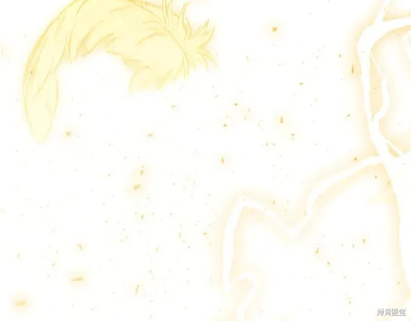 第246页