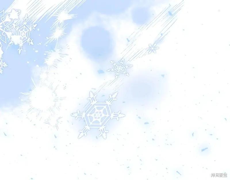 第223页