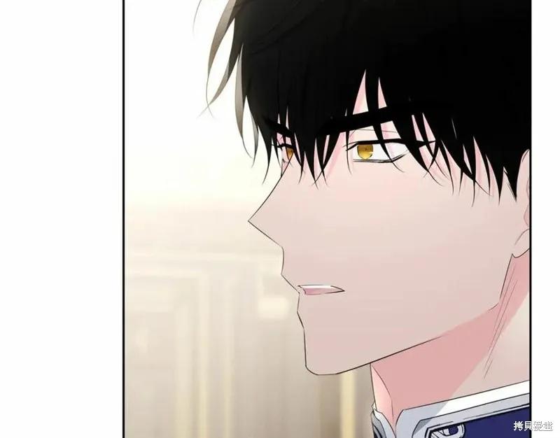第223页