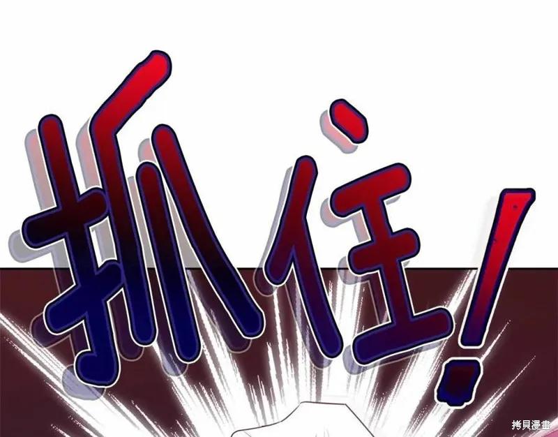 第263页