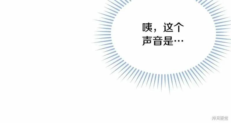 第266页