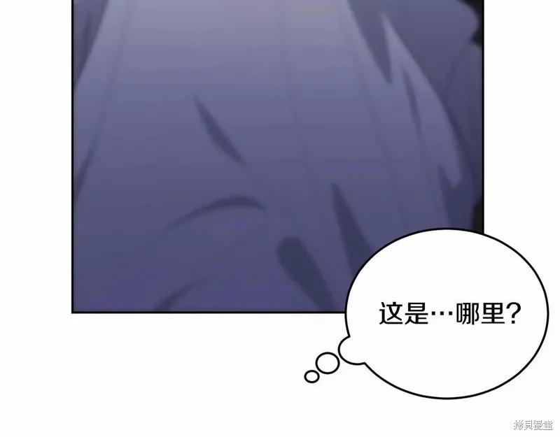 第204页