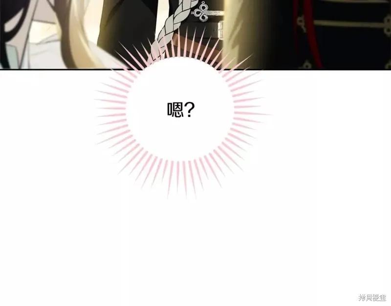 第223页