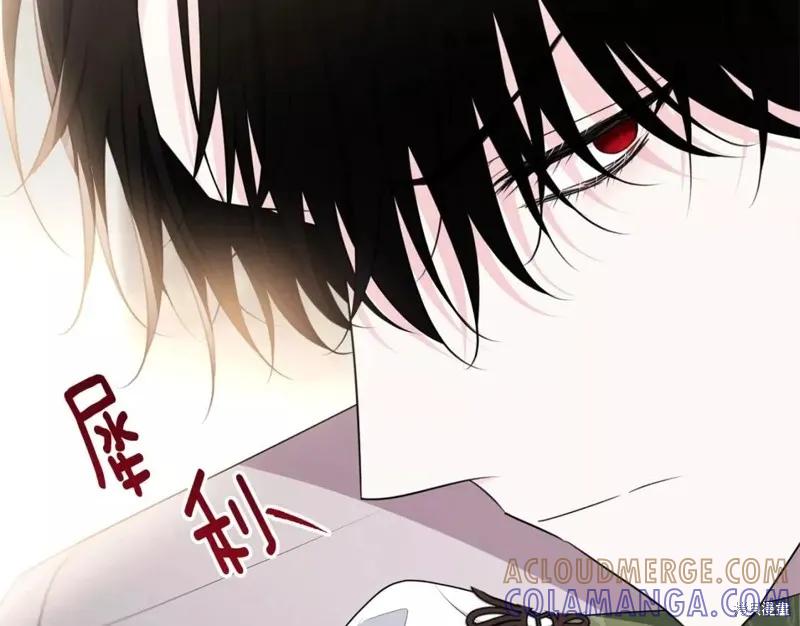 第213页