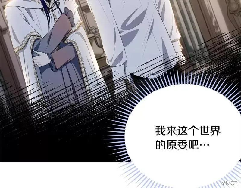 第194页