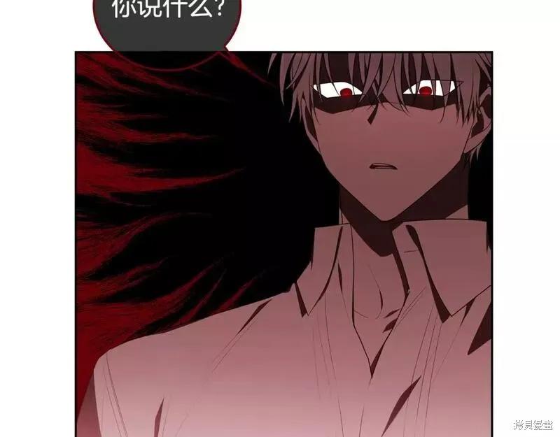 第223页