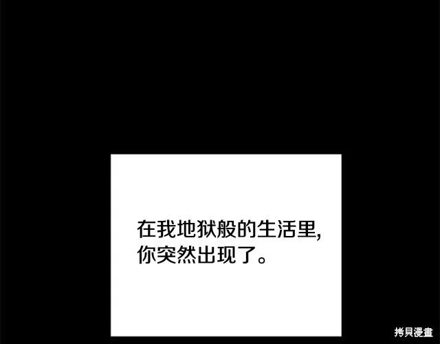 第206页