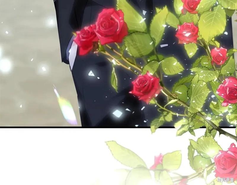 第203页