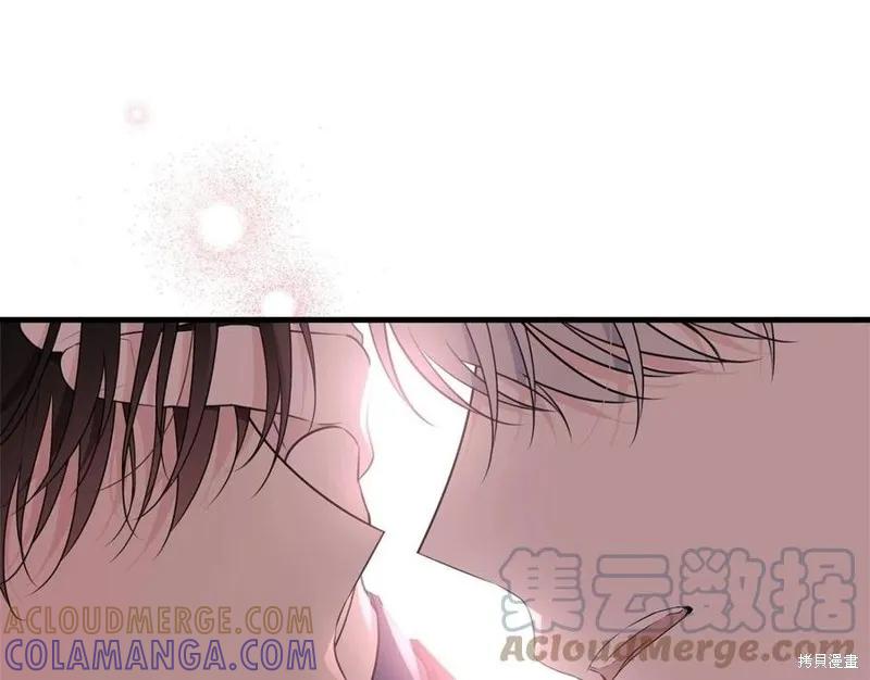 第221页