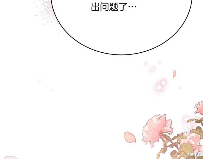 第223页