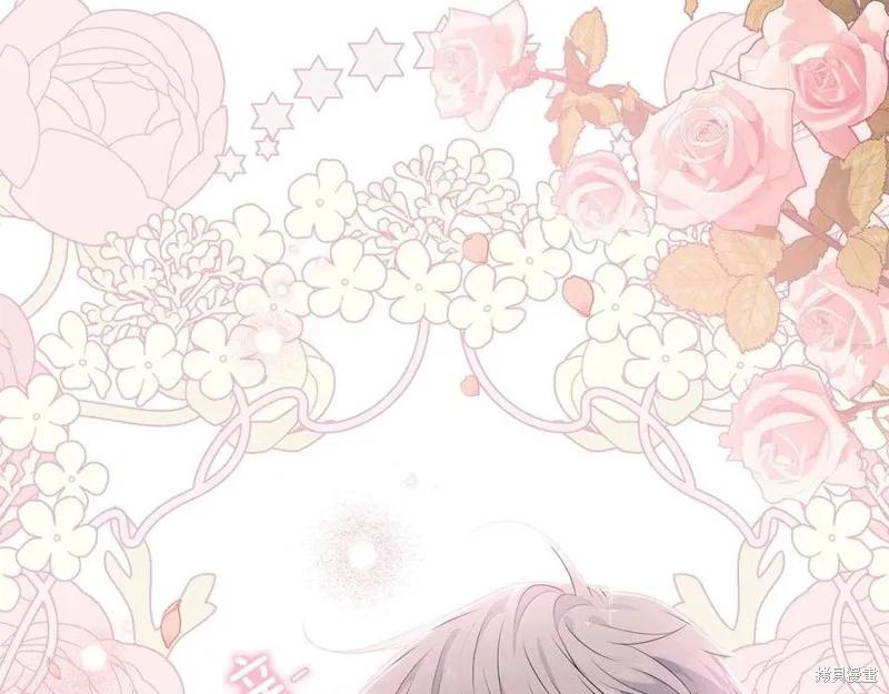 第224页