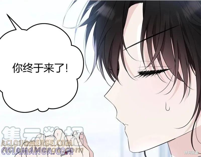 第221页
