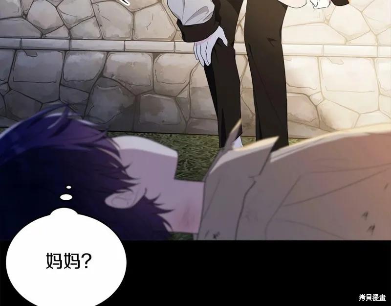 第218页