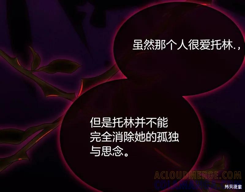 第205页