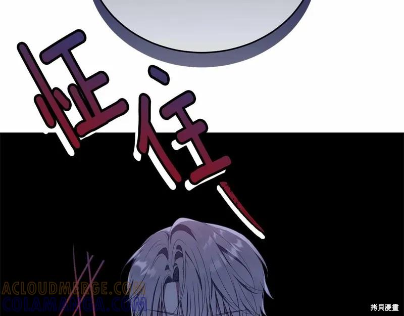 第221页