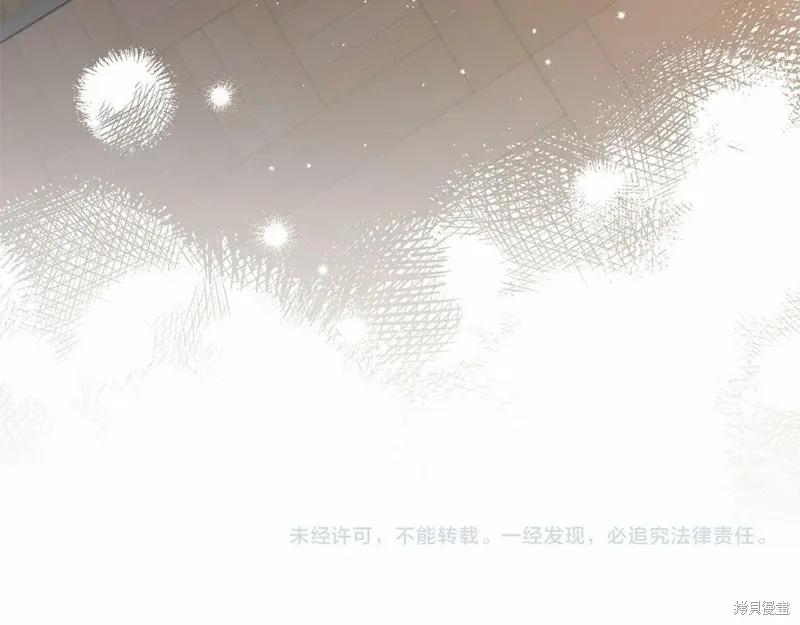 第231页