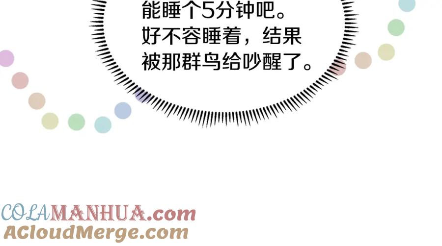 第185页