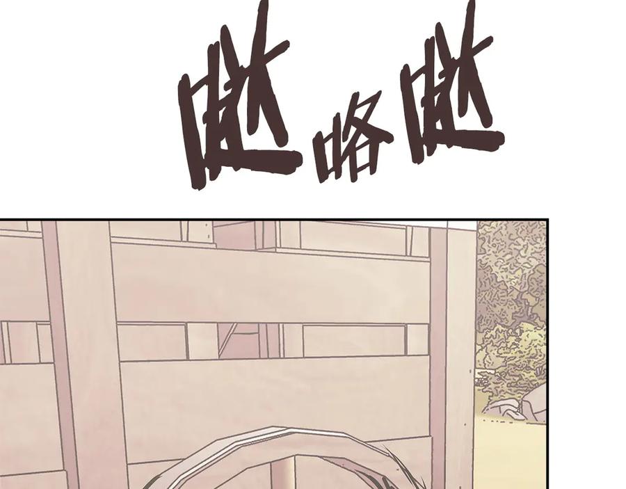 第194页