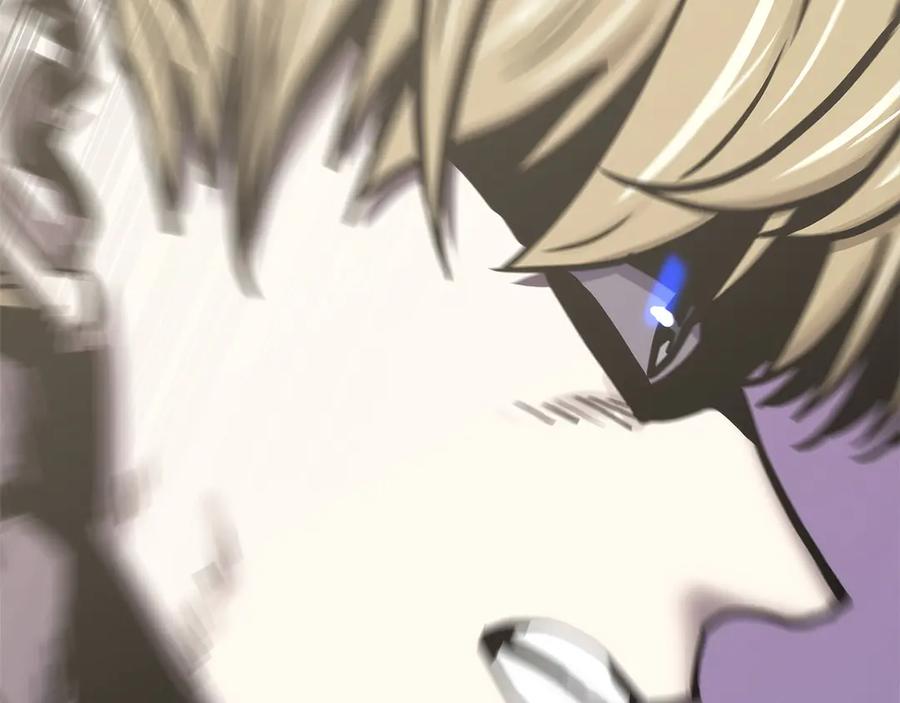 第224页