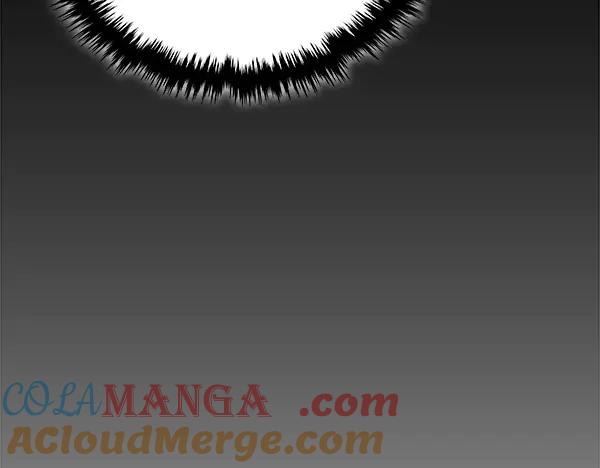 第236页