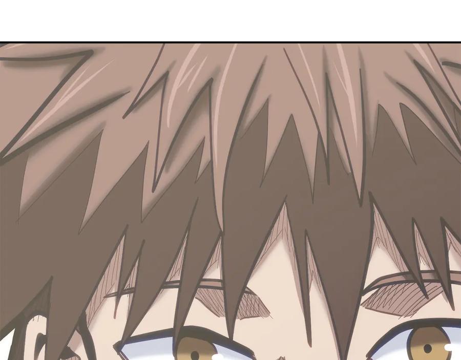 第242页