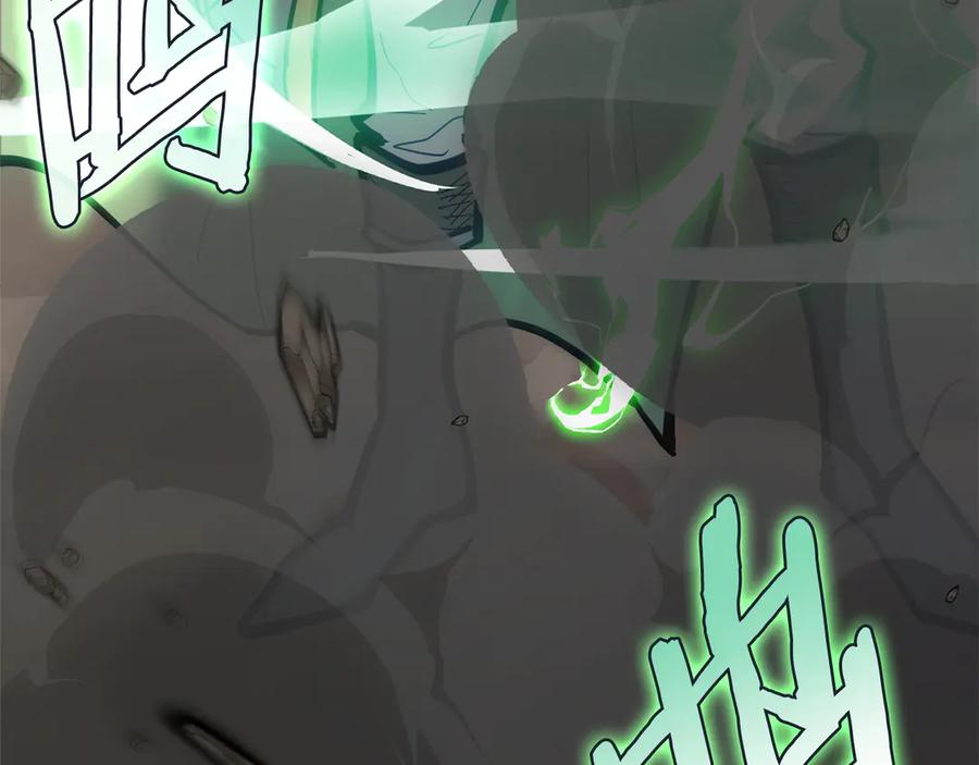 第204页
