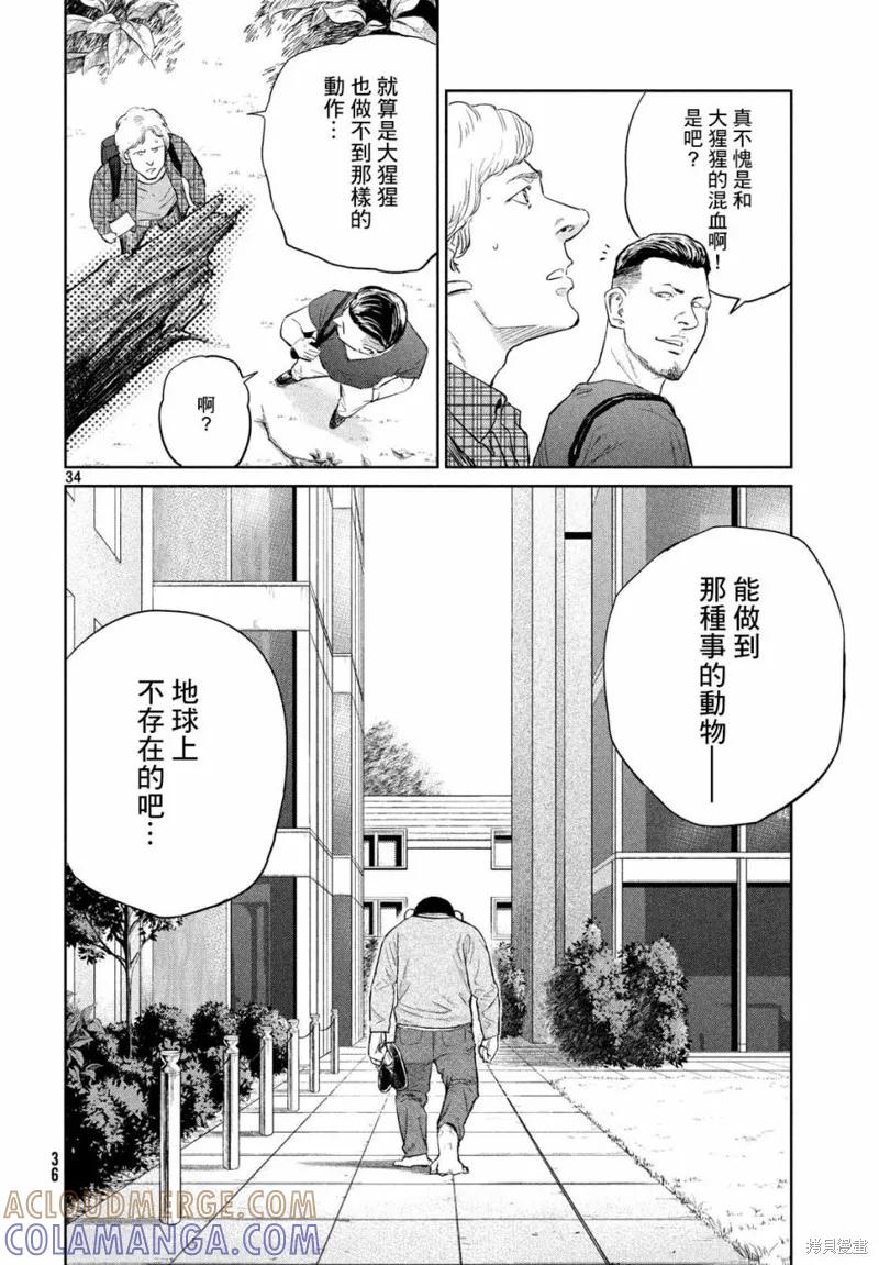 第34页