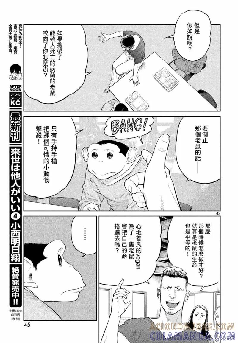第43页
