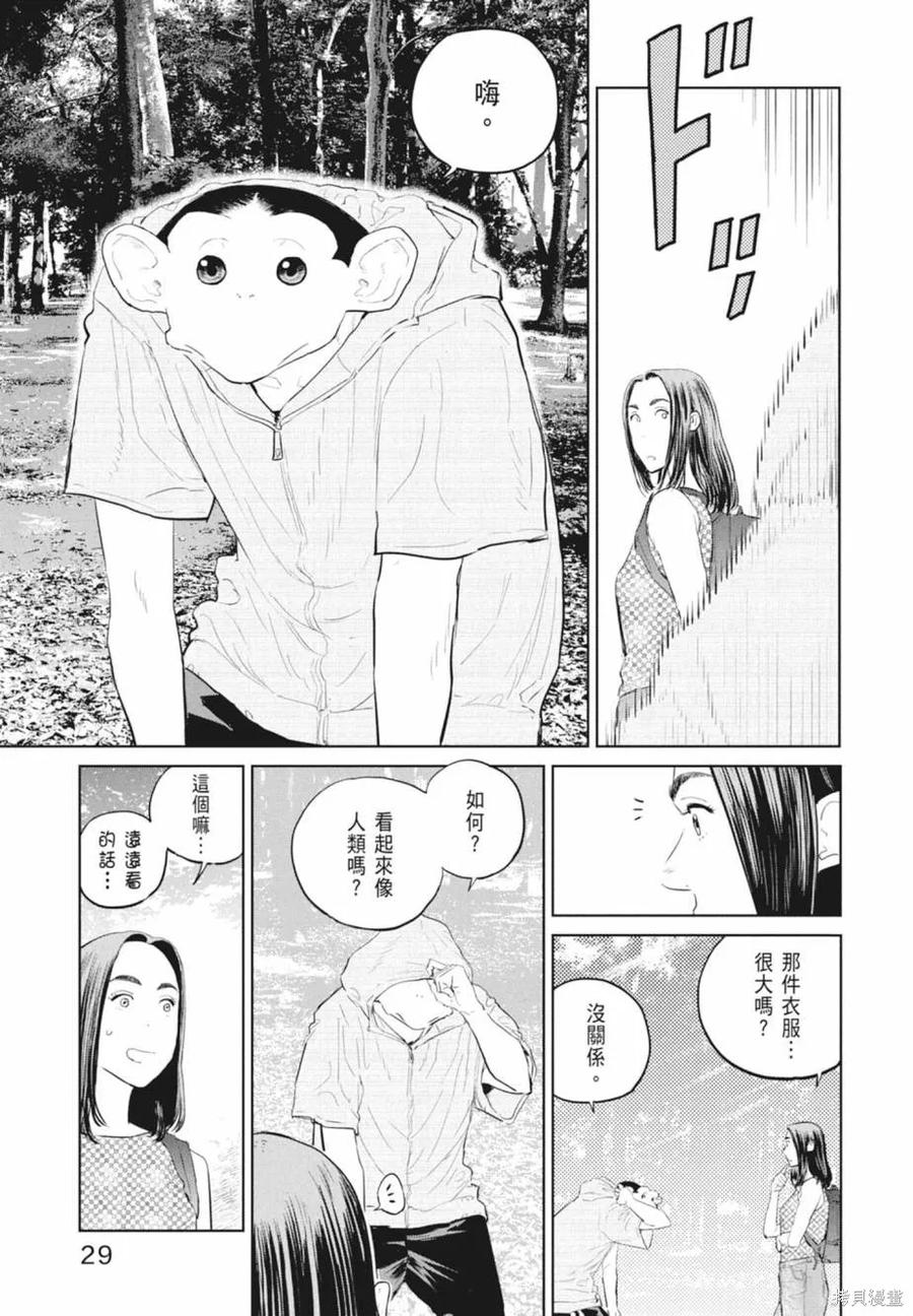 第31页