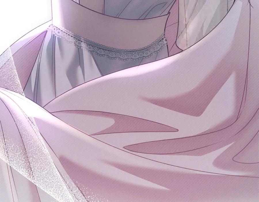 第242页