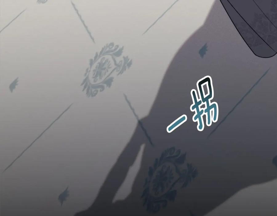 第224页