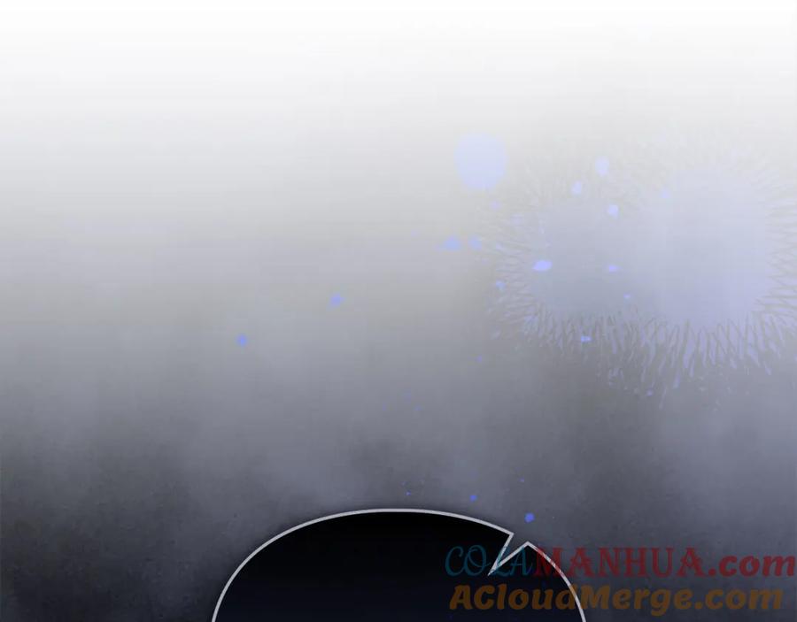 第245页
