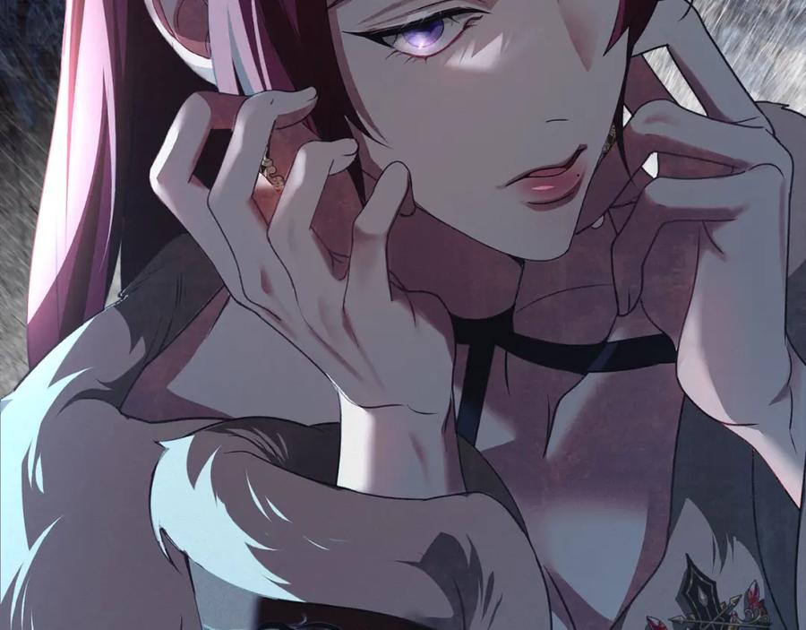 第204页