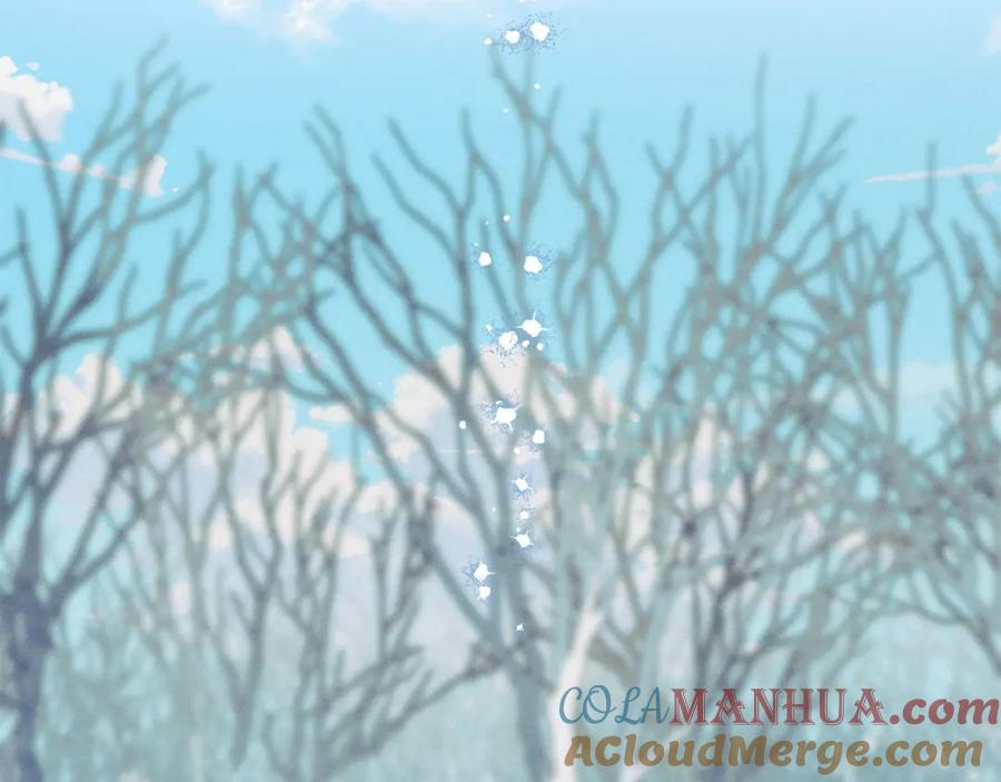 第221页
