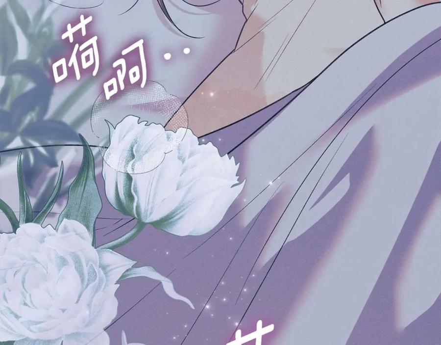 第224页