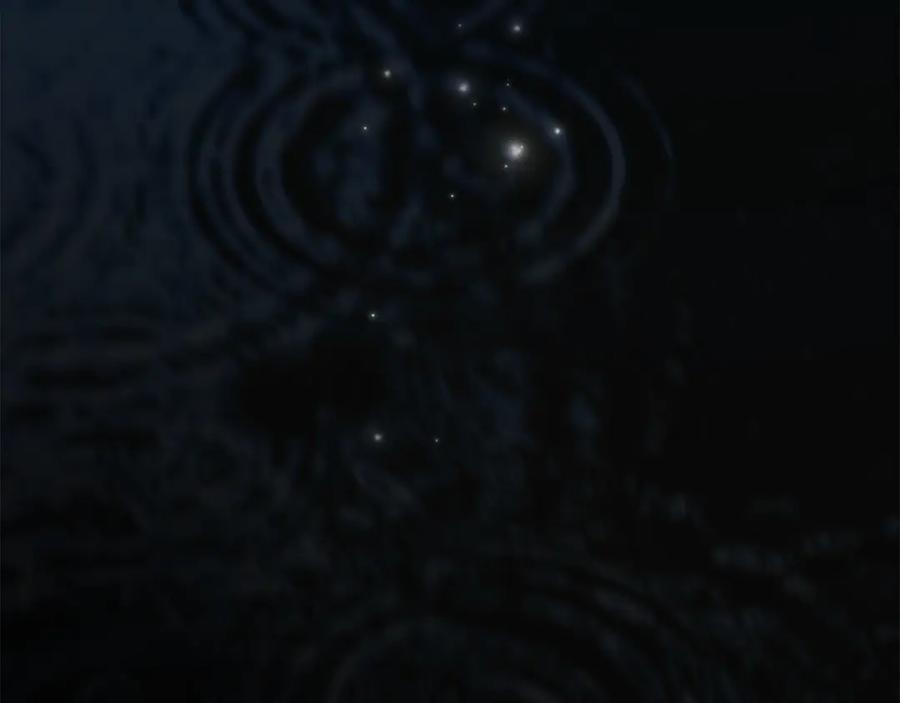 第194页