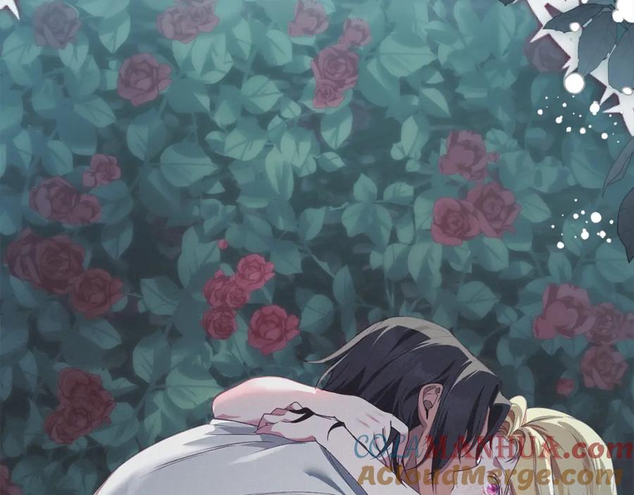 第205页
