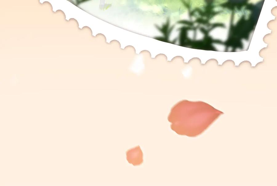 第178页