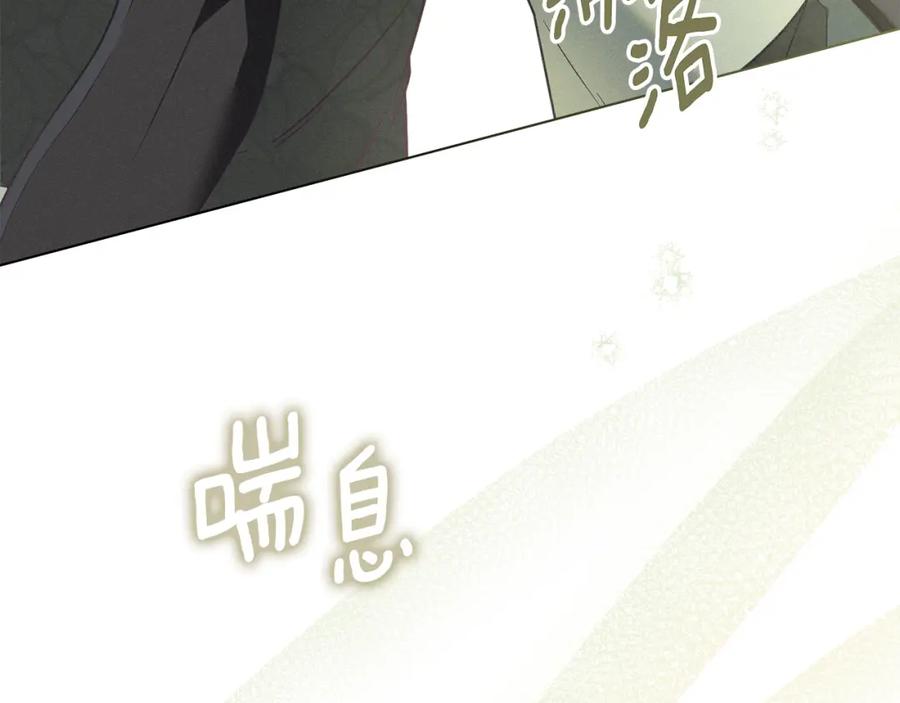 第224页