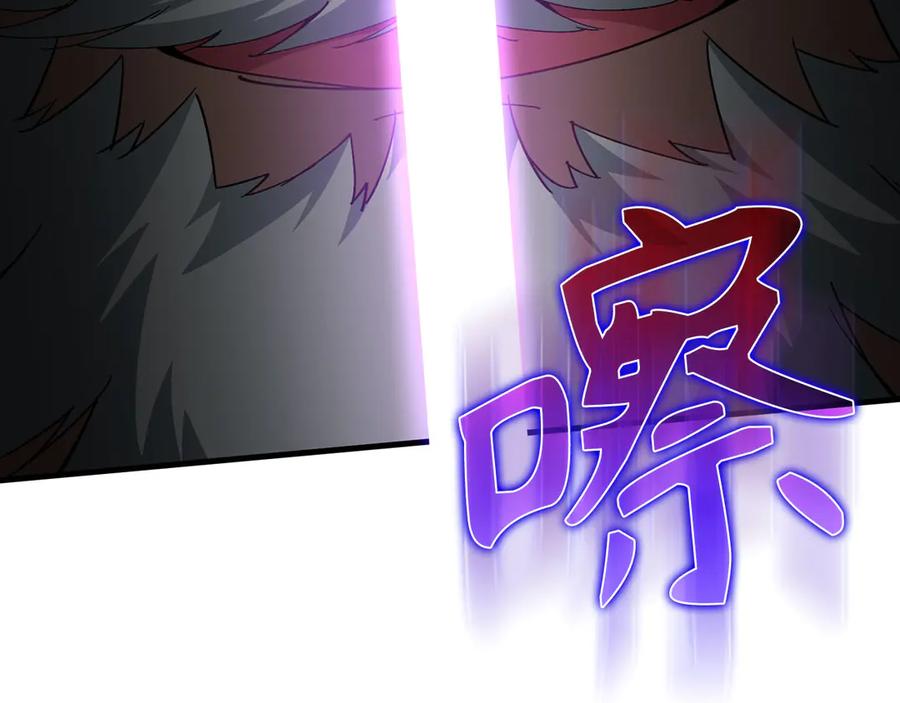 第246页