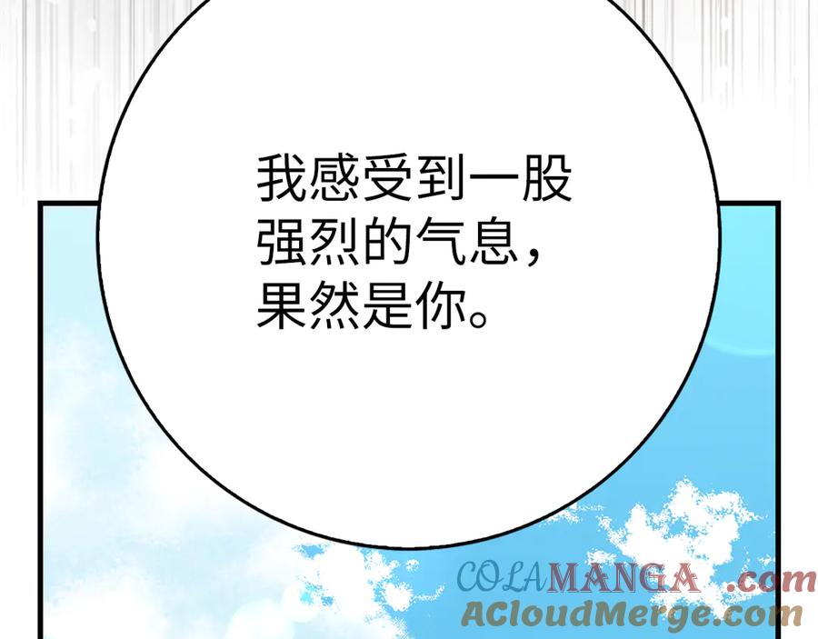 第241页