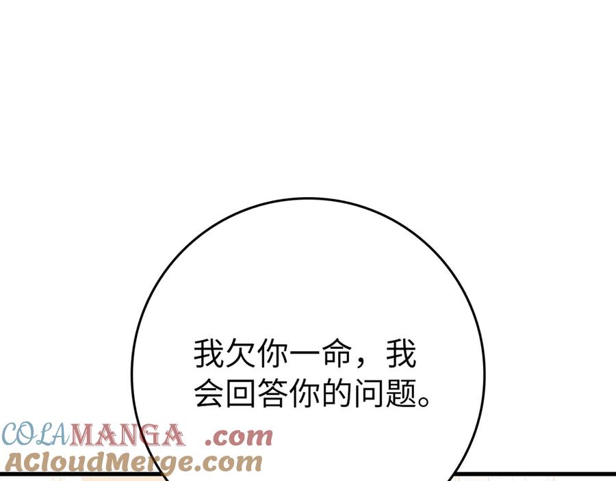 第233页