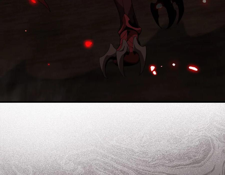 第215页